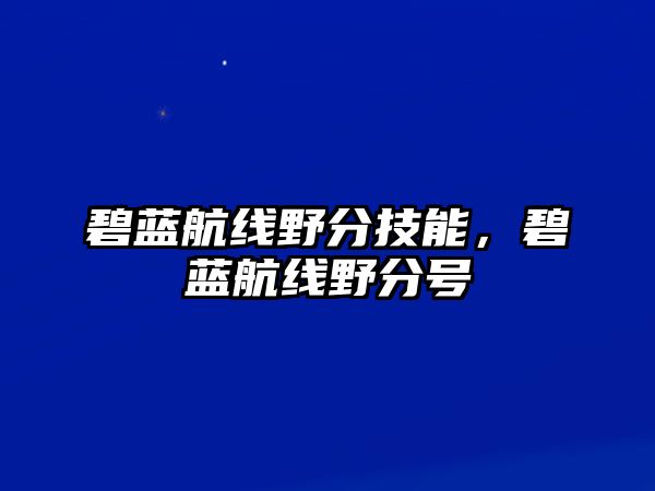 碧藍航線野分技能，碧藍航線野分號