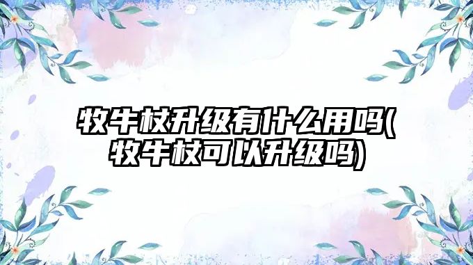牧牛杖升級有什么用嗎(牧牛杖可以升級嗎)