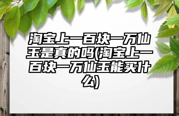 淘寶上一百塊一萬仙玉是真的嗎(淘寶上一百塊一萬仙玉能買什么)