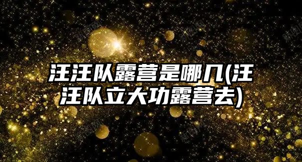 汪汪隊露營是哪幾(汪汪隊立大功露營去)