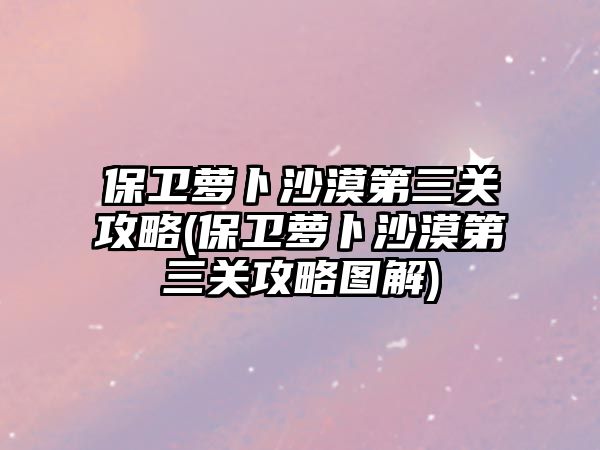 保衛(wèi)蘿卜沙漠第三關(guān)攻略(保衛(wèi)蘿卜沙漠第三關(guān)攻略圖解)