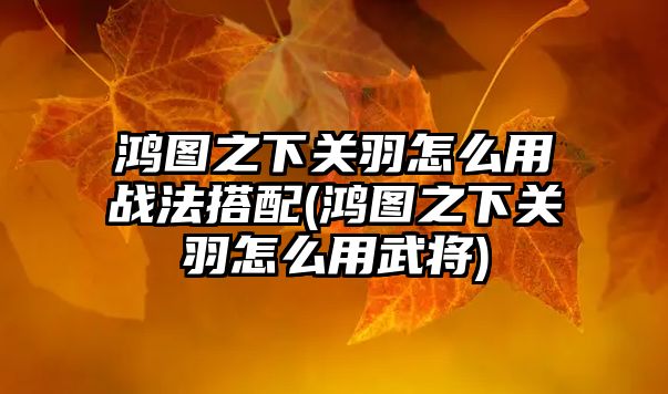 鴻圖之下關羽怎么用戰法搭配(鴻圖之下關羽怎么用武將)
