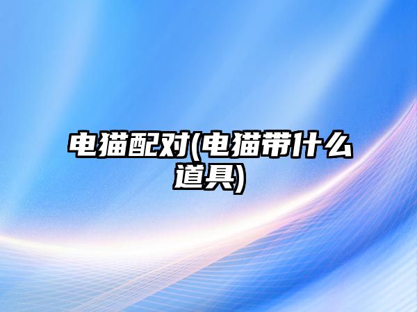 電貓配對(電貓帶什么道具)