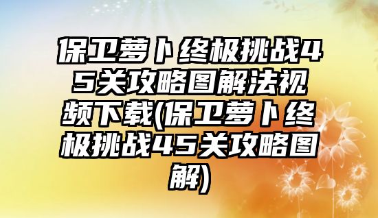 保衛蘿卜終極挑戰45關攻略圖解法視頻下載(保衛蘿卜終極挑戰45關攻略圖解)