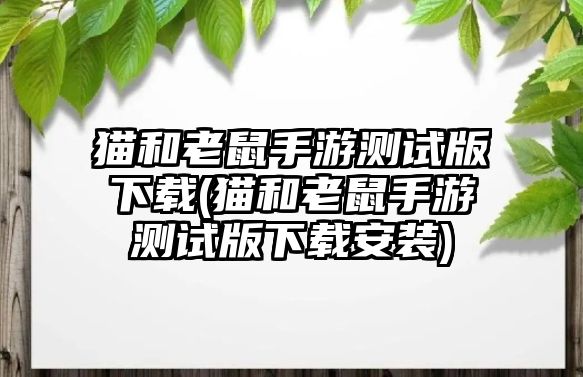 貓和老鼠手游測試版下載(貓和老鼠手游測試版下載安裝)