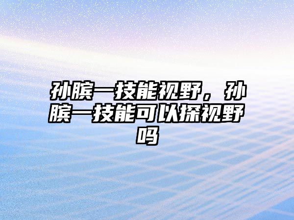 孫臏一技能視野，孫臏一技能可以探視野嗎