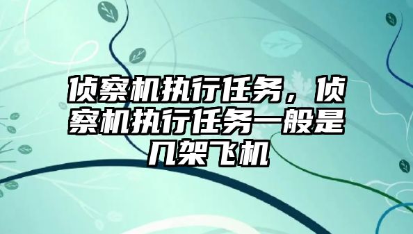 偵察機執行任務，偵察機執行任務一般是幾架飛機