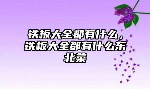 鐵板大全都有什么，鐵板大全都有什么東北菜