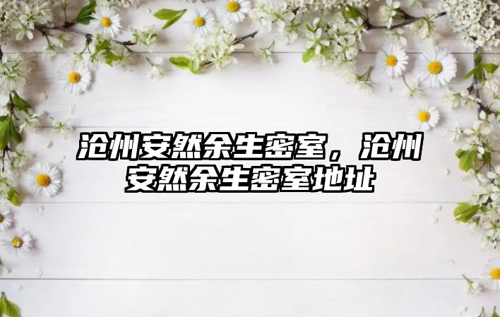 滄州安然余生密室，滄州安然余生密室地址