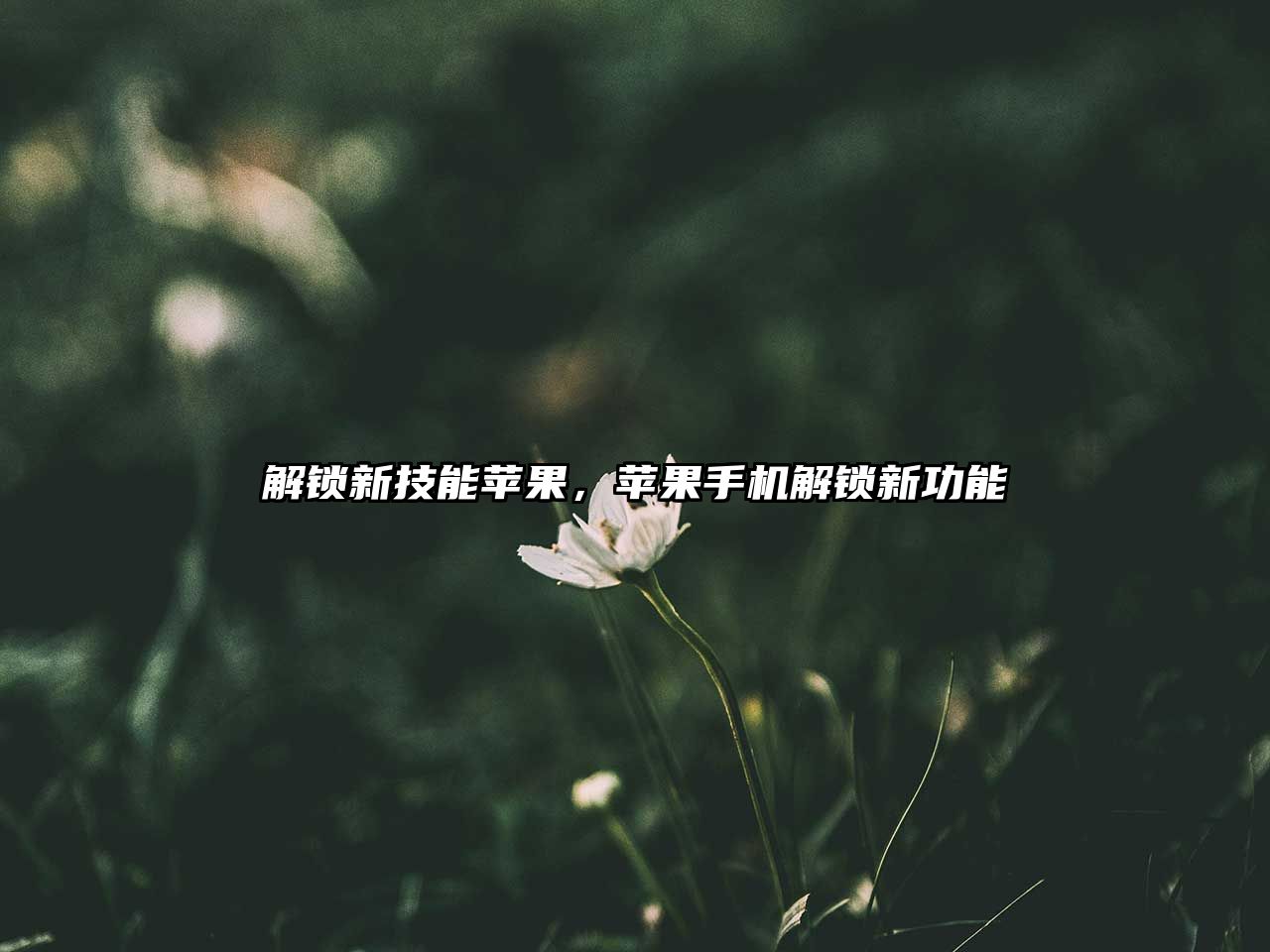 解鎖新技能蘋果，蘋果手機解鎖新功能