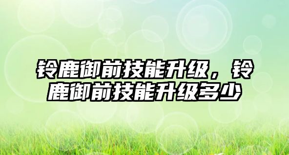 鈴鹿御前技能升級，鈴鹿御前技能升級多少