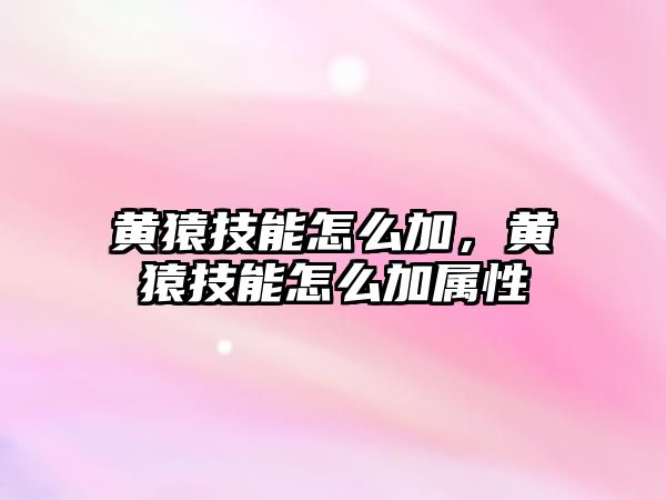 黃猿技能怎么加，黃猿技能怎么加屬性