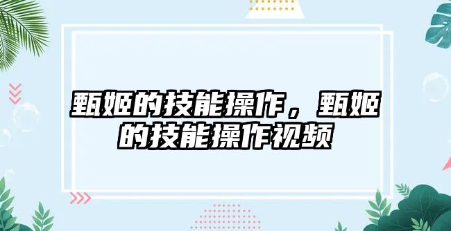 甄姬的技能操作，甄姬的技能操作視頻