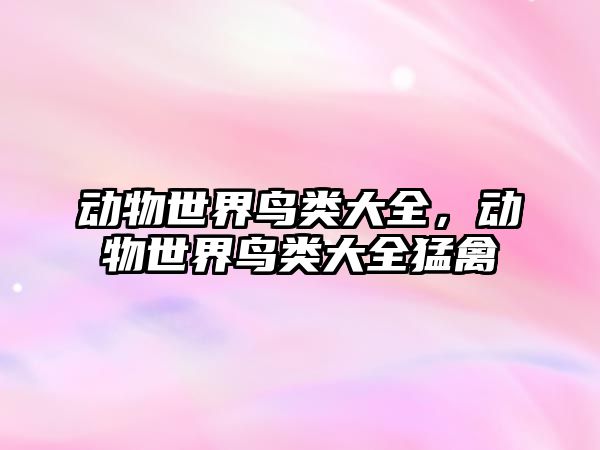 動(dòng)物世界鳥類大全，動(dòng)物世界鳥類大全猛禽