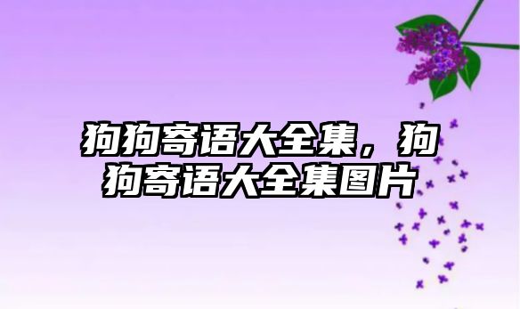 狗狗寄語大全集，狗狗寄語大全集圖片