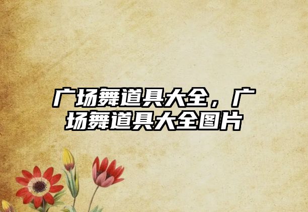 廣場舞道具大全，廣場舞道具大全圖片