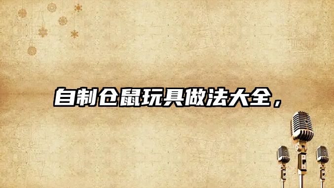 自制倉(cāng)鼠玩具做法大全，