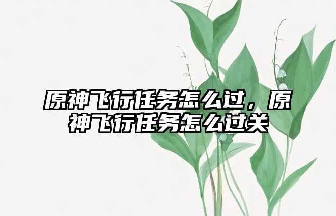 原神飛行任務怎么過，原神飛行任務怎么過關