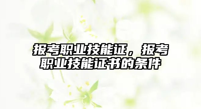 報考職業技能證，報考職業技能證書的條件
