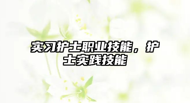 實(shí)習(xí)護(hù)士職業(yè)技能，護(hù)士實(shí)踐技能