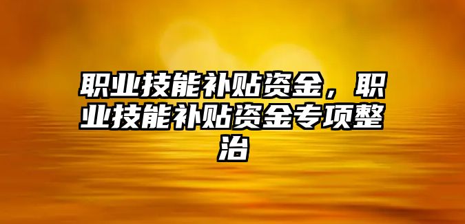 職業技能補貼資金，職業技能補貼資金專項整治