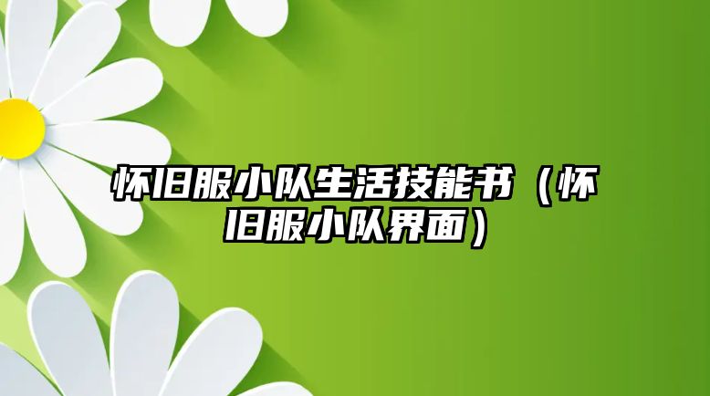懷舊服小隊生活技能書（懷舊服小隊界面）