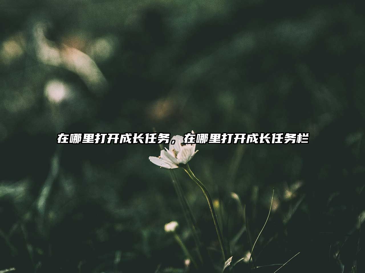 在哪里打開成長任務，在哪里打開成長任務欄