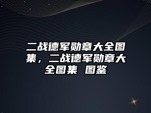 二戰(zhàn)德軍勛章大全圖集，二戰(zhàn)德軍勛章大全圖集 圖鑒